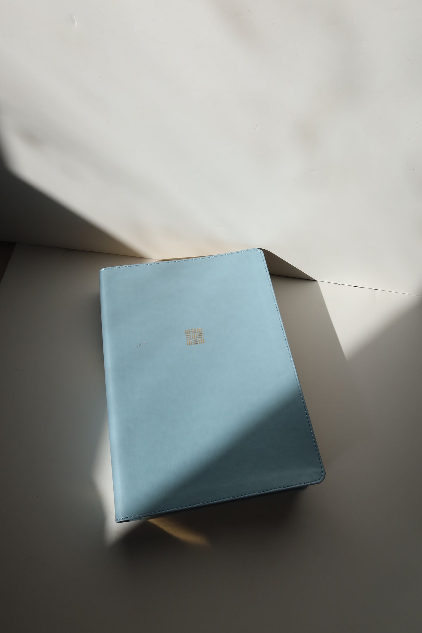 NLT EVERY WOMAN’S BIBLE