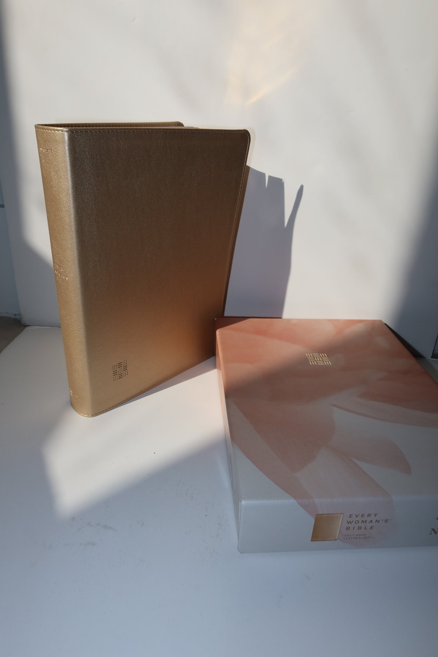 NLT EVERY WOMAN’S BIBLE