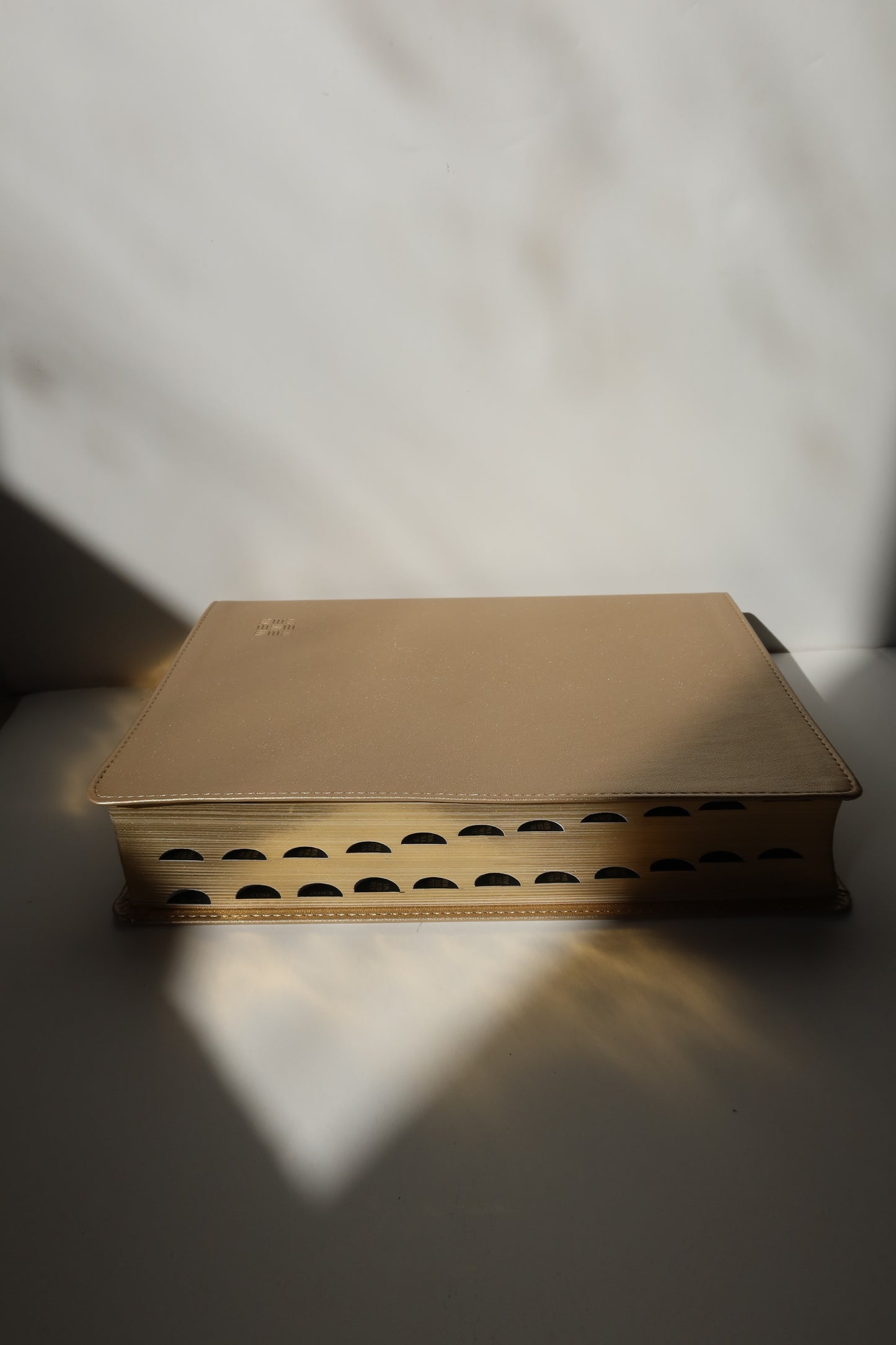 NLT EVERY WOMAN’S BIBLE