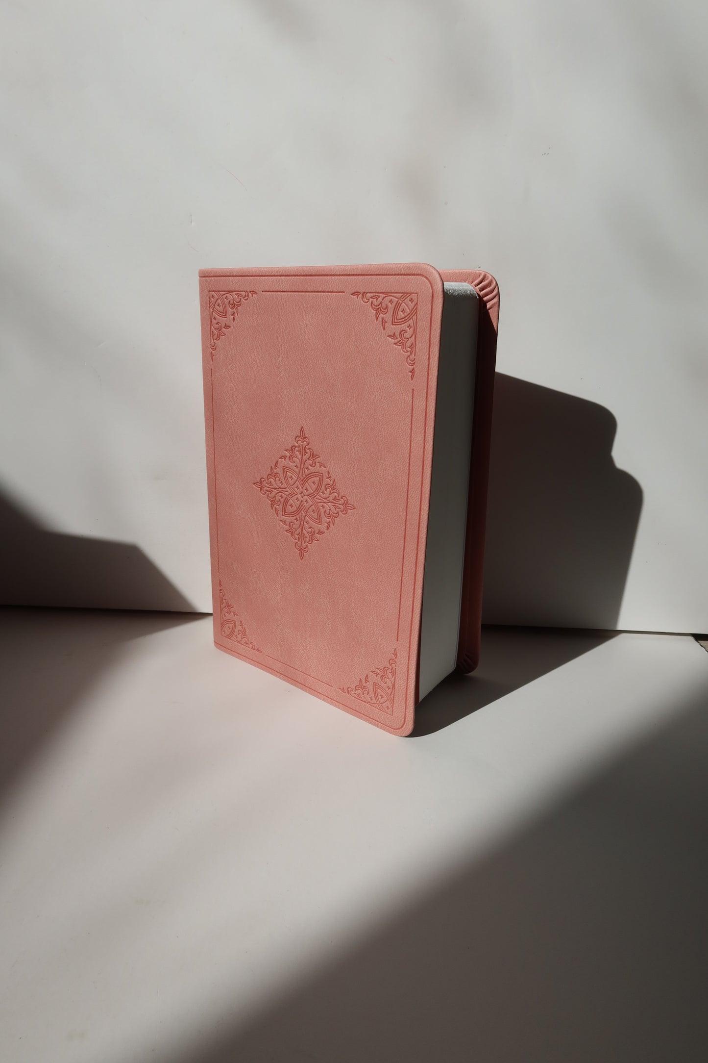 ESV COMPACT BIBLE SOFT LEATHER - BLUSH ROSE