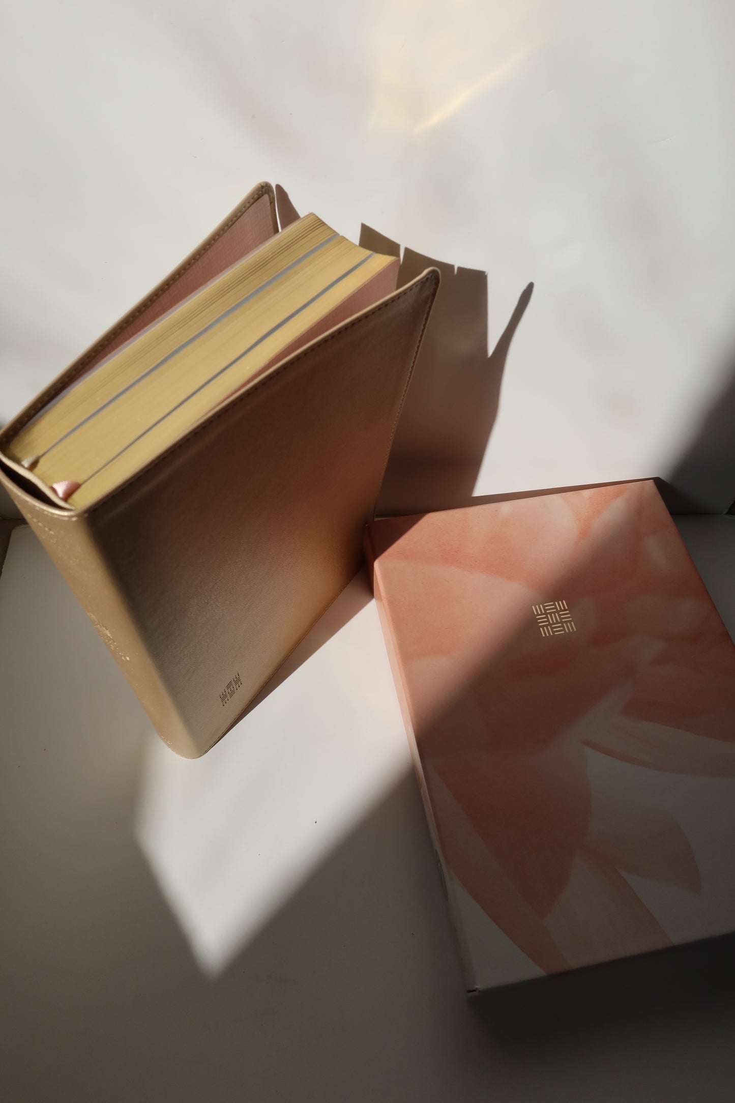 NLT EVERY WOMAN’S BIBLE