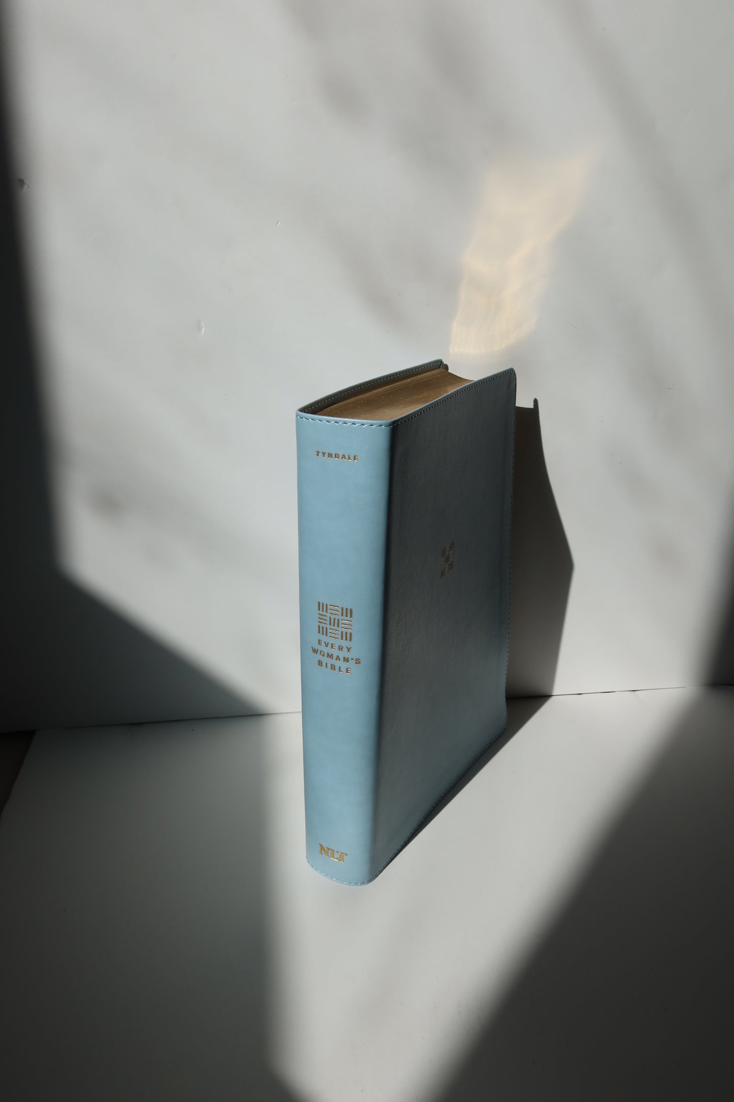 NLT EVERY WOMAN’S BIBLE