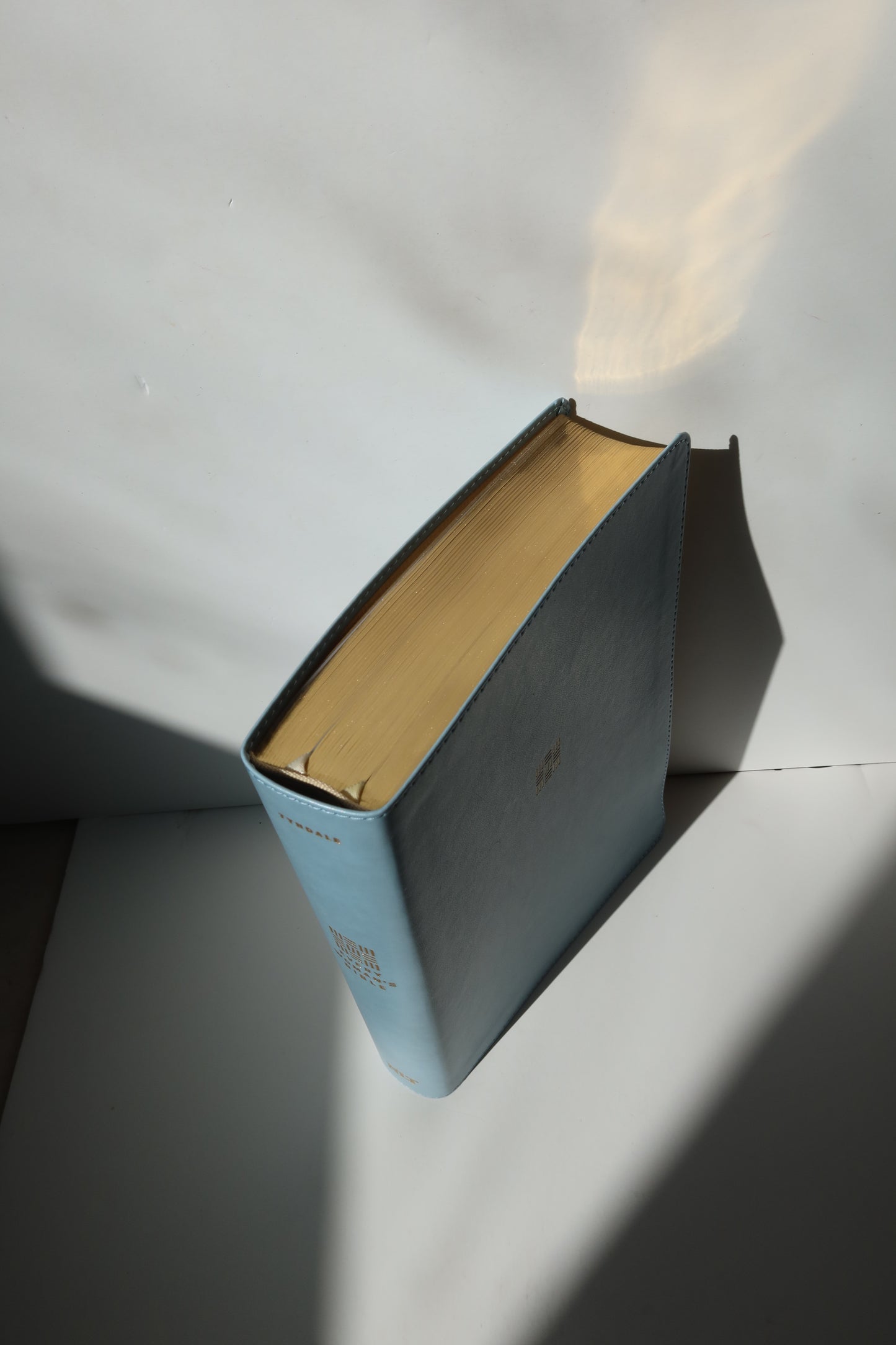 NLT EVERY WOMAN’S BIBLE