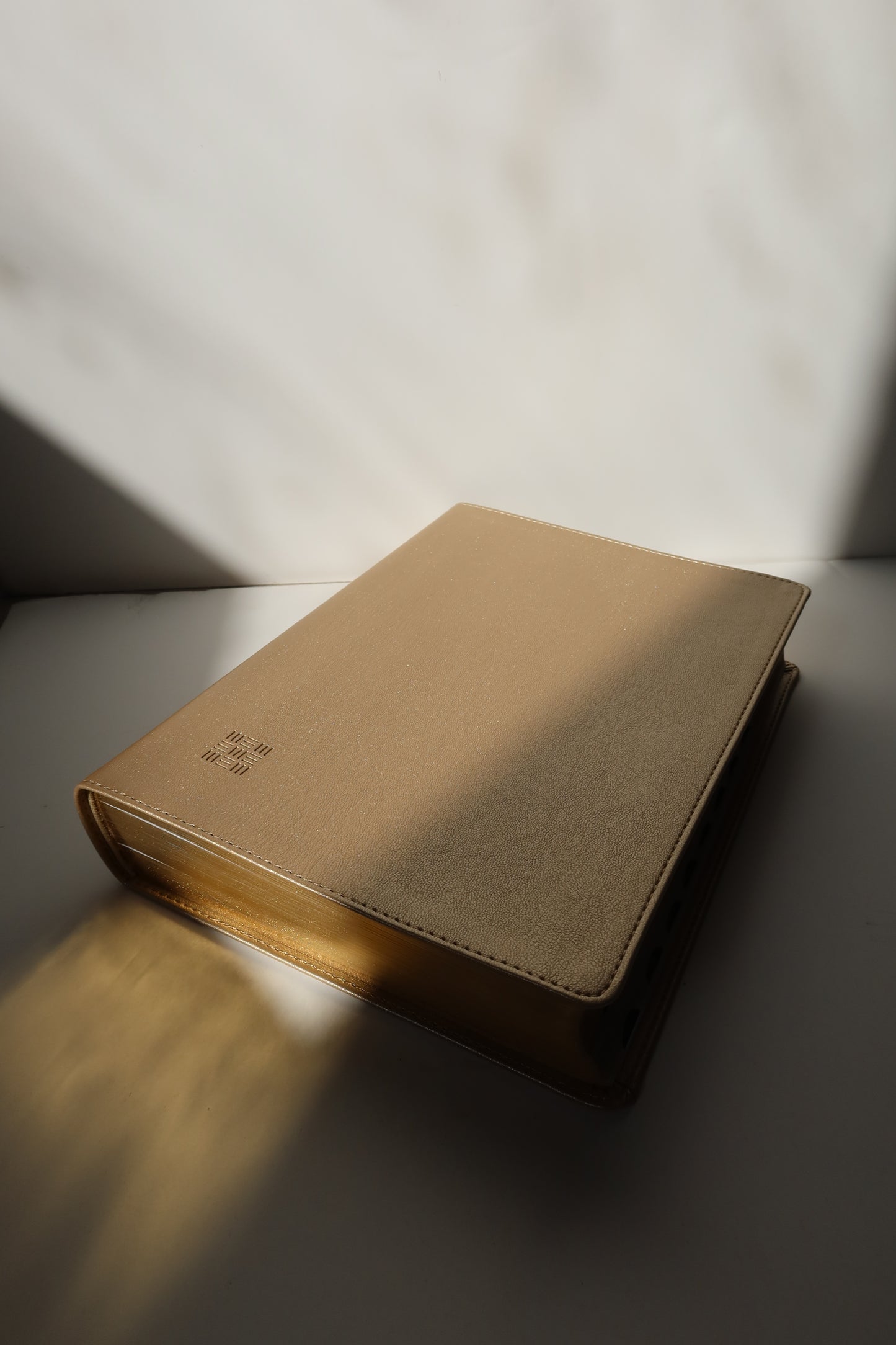 NLT EVERY WOMAN’S BIBLE