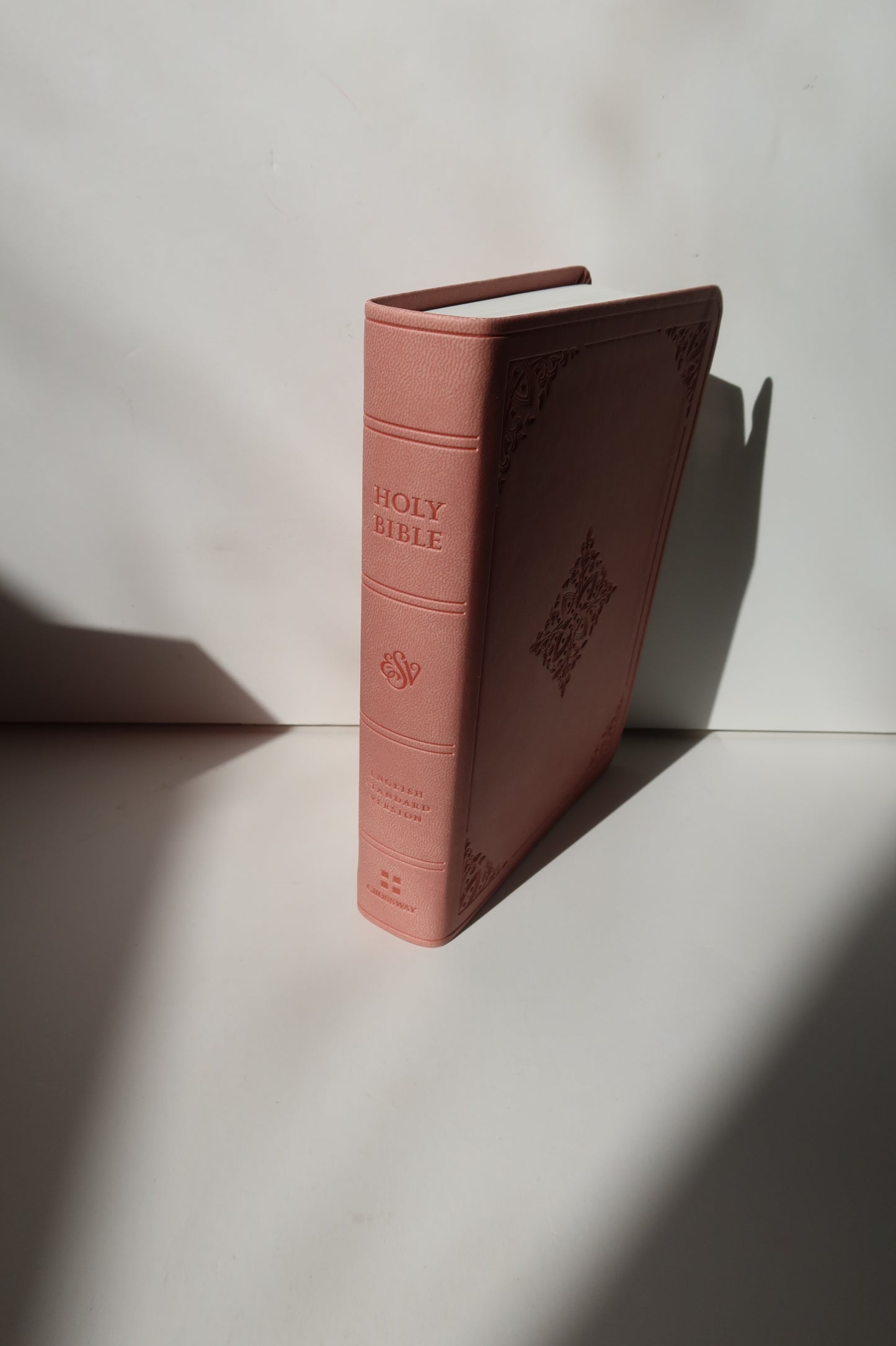 ESV COMPACT BIBLE SOFT LEATHER - BLUSH ROSE