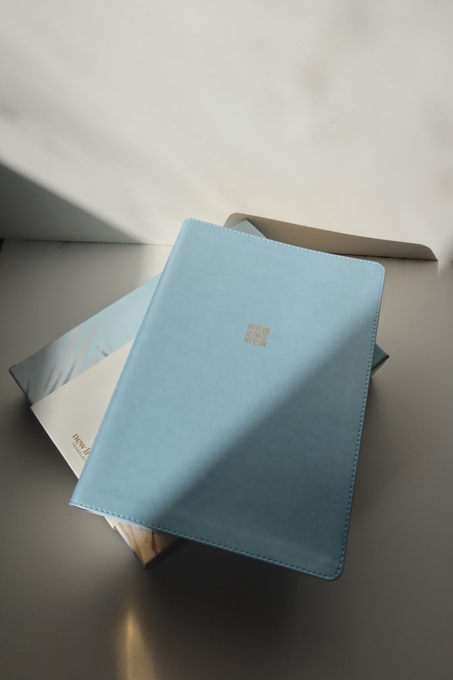 NLT EVERY WOMAN’S BIBLE